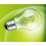 Лампа накаливания А50 230-75 75Вт E27 230В (100) Favor 8101403